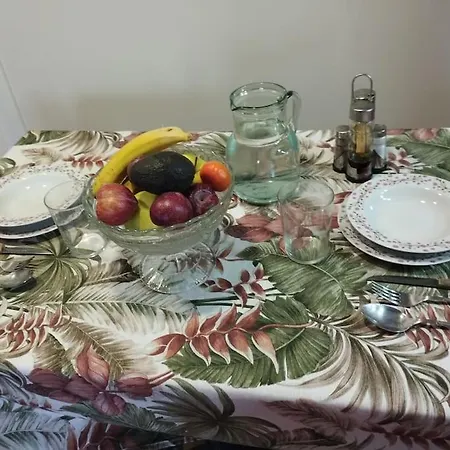 Loft Vintage Monte *